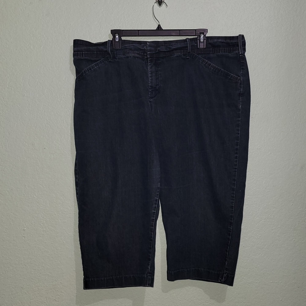 Lee Capri, Just Below The Waist, 22w Medium